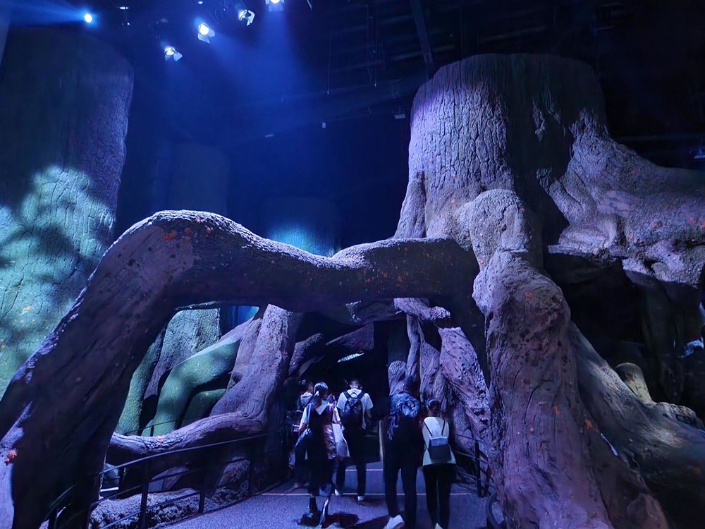 warner bros studio tokyo tour