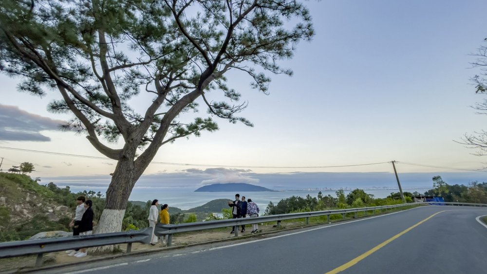 Sống Ảo Với Cây Thông Cô Đơn