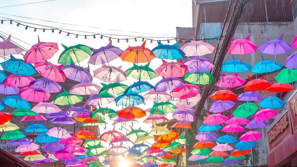 Con Đường Ô Sặc Sỡ 