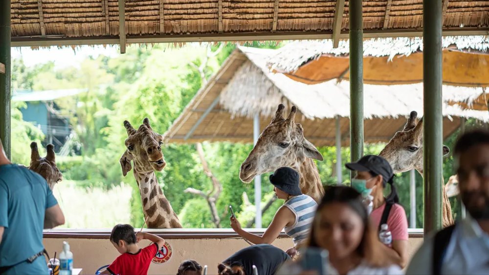 1. Safari World Bangkok