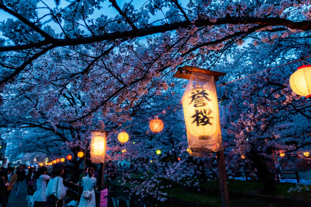 Japan Spring Sakura Hanami Festival