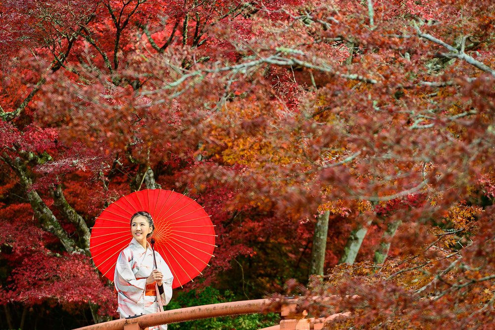 Japan Autumn Kimono Rental