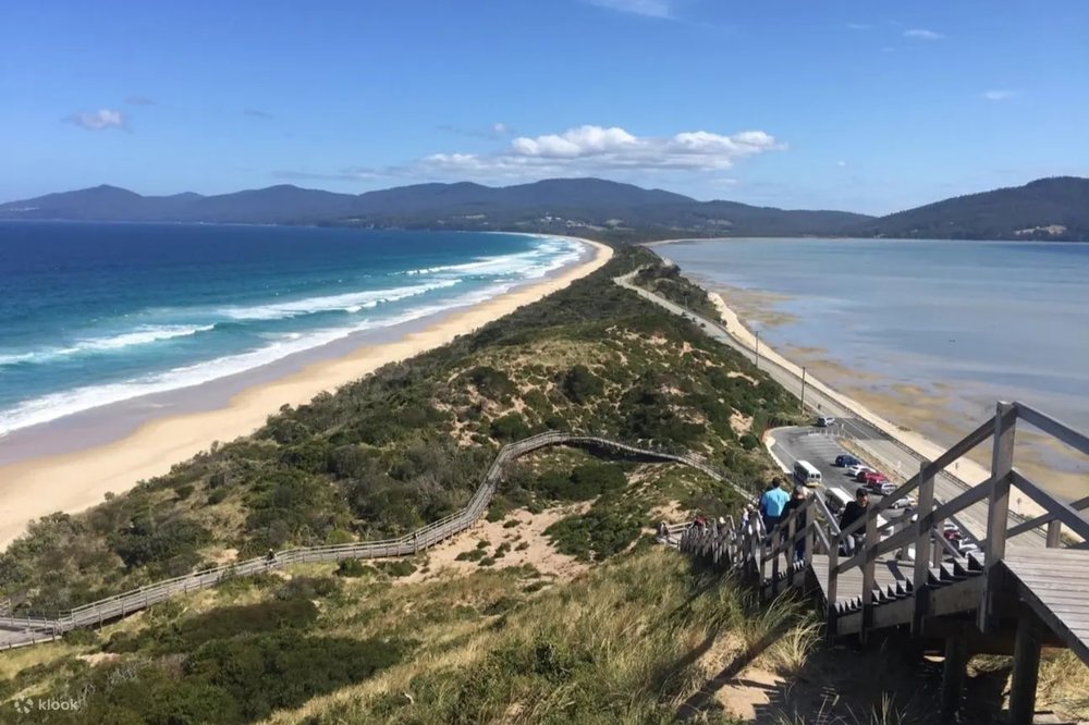 布魯尼島 塔斯曼尼亞景點 塔斯曼尼亞自駕遊 澳洲景點 澳洲自駕遊