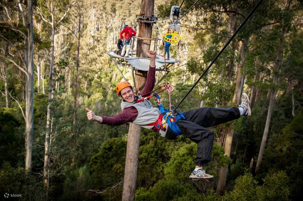 霍利班克荒野探險 塔斯曼尼亞景點 塔斯曼尼亞自由行 澳洲景點 澳洲自由行
