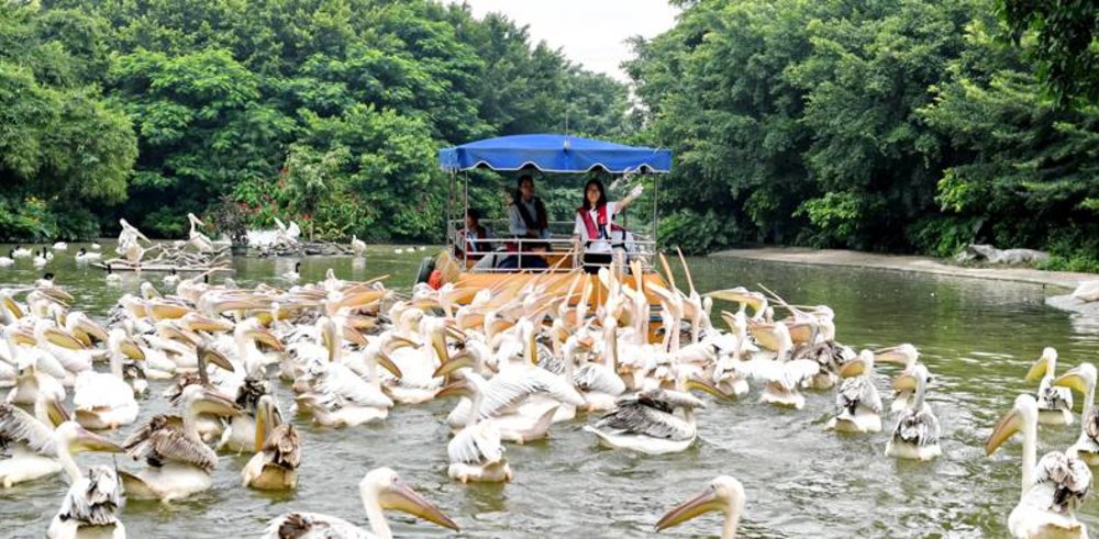 長隆飛鳥樂園 廣州好去處 廣州景點