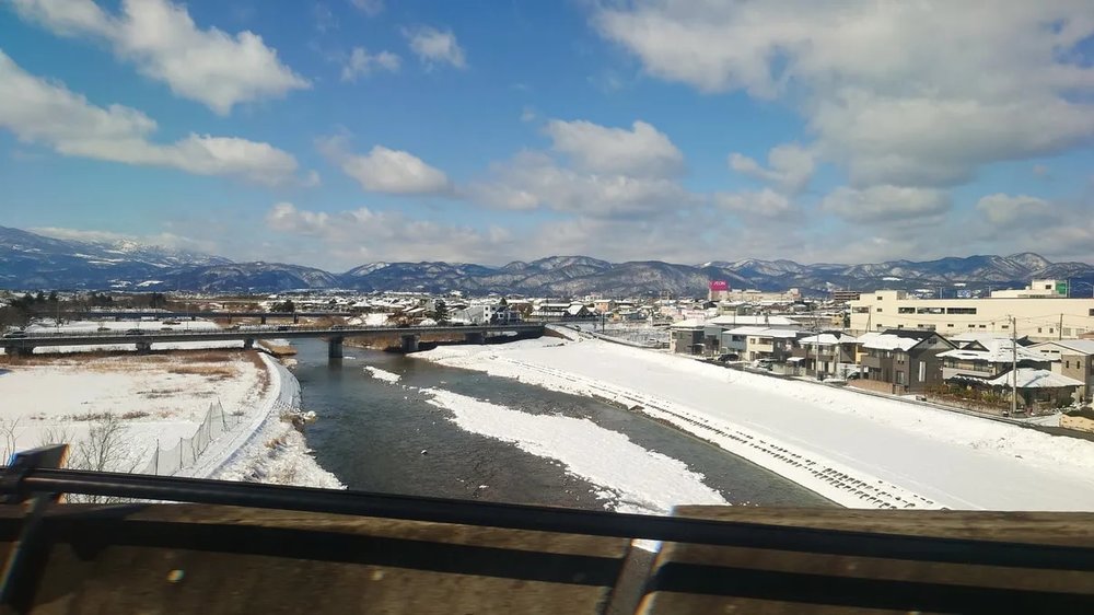  日本狐狸 日本野生動物 日本大自然