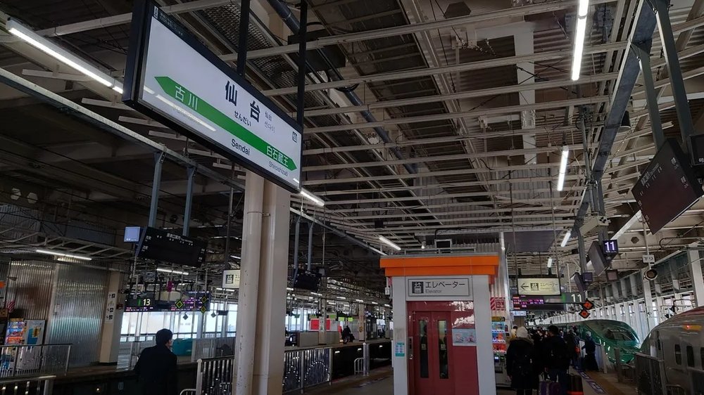  日本狐狸 日本野生動物 日本大自然