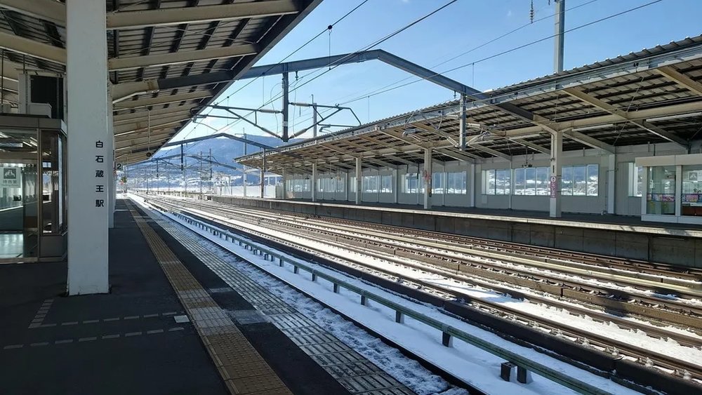  日本狐狸 日本野生動物 日本大自然