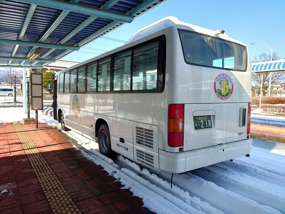  日本狐狸 日本野生動物 日本大自然