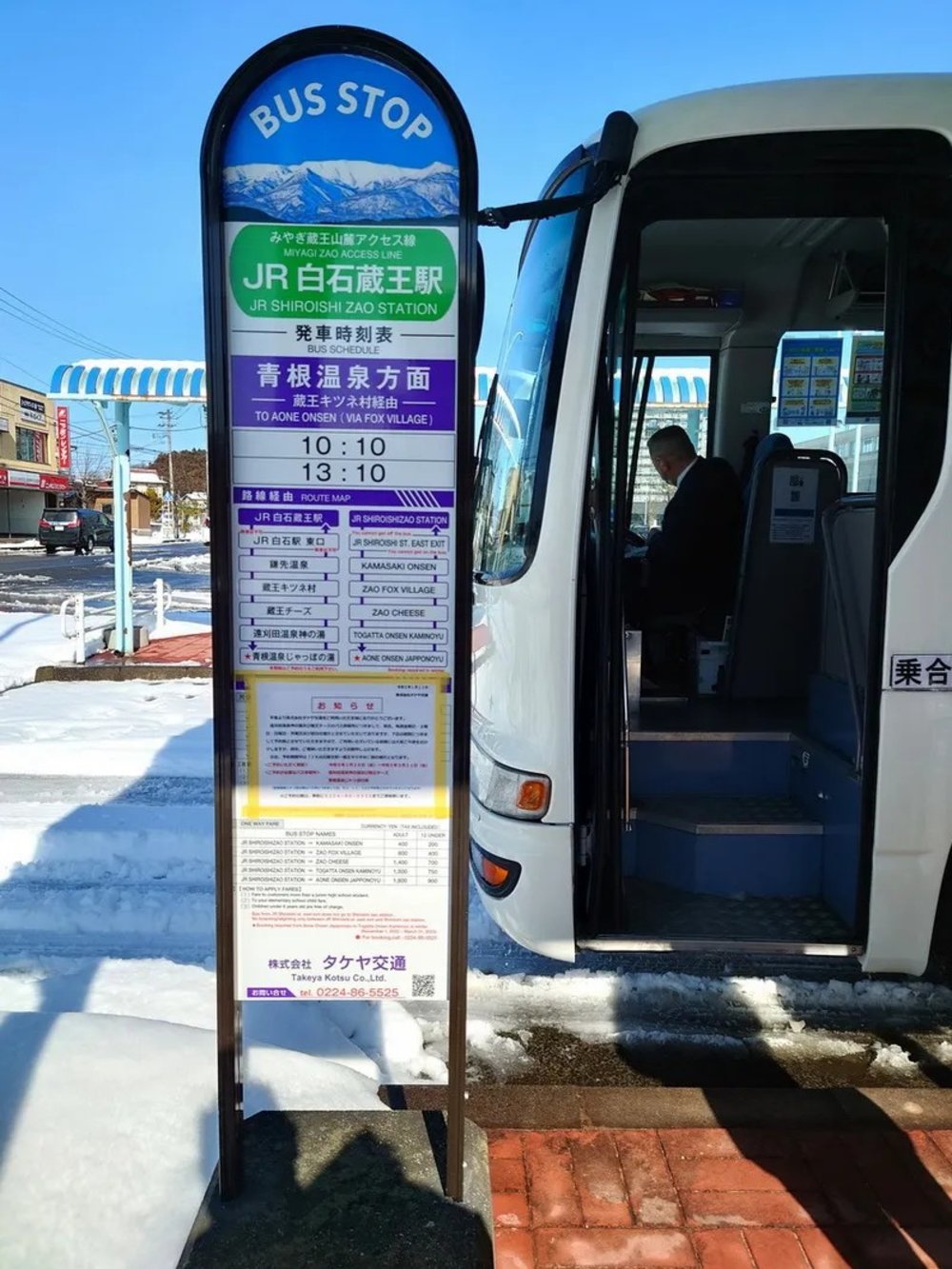  日本狐狸 日本野生動物 日本大自然