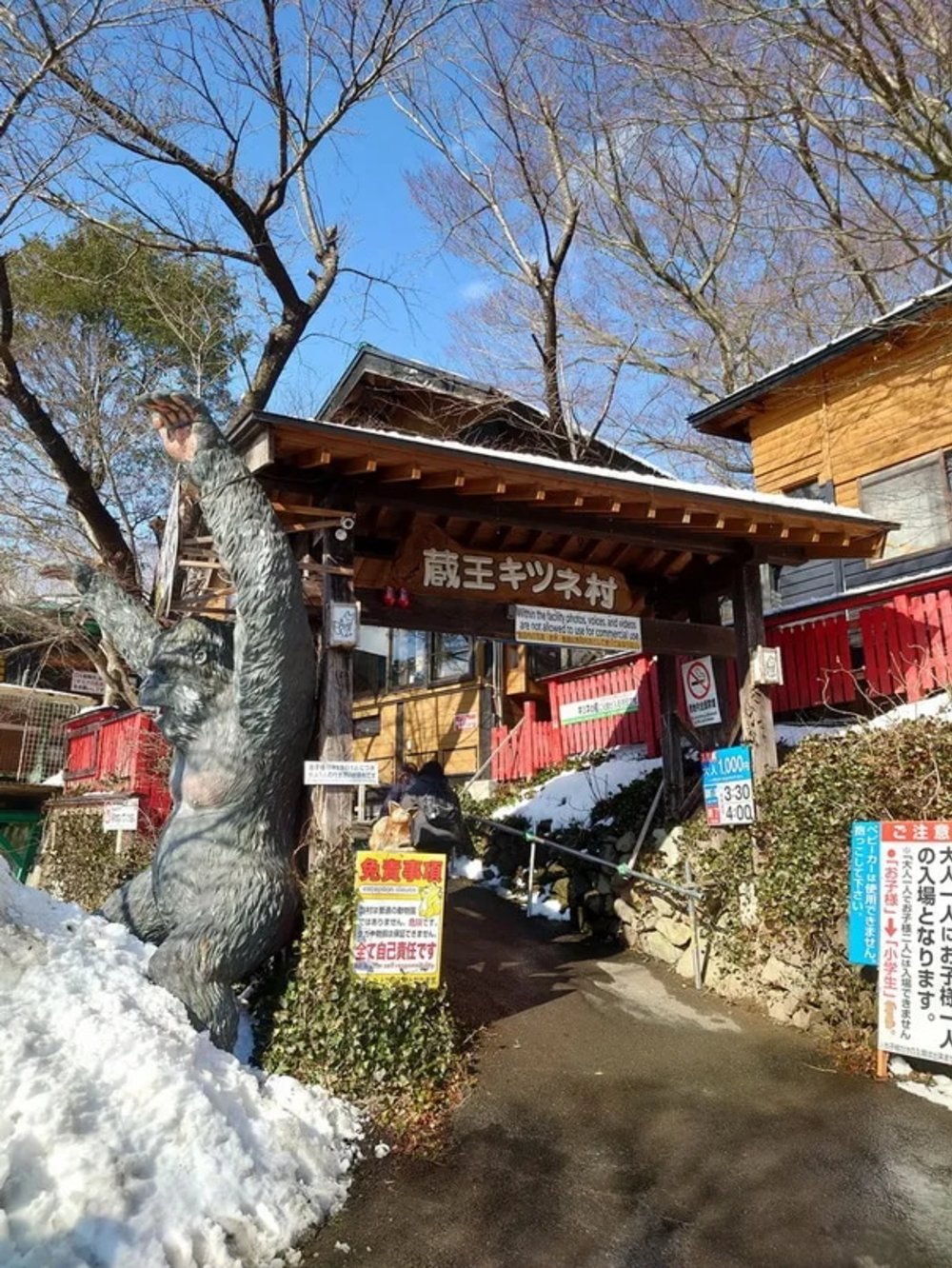  日本狐狸 日本野生動物 日本大自然 