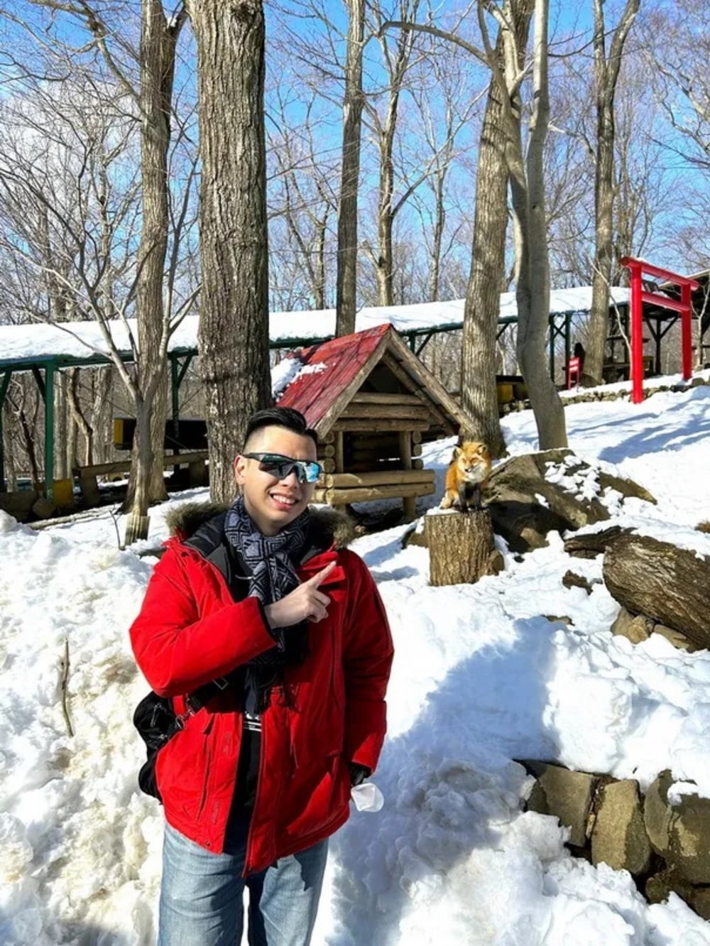日本狐狸 日本野生動物 日本大自然 