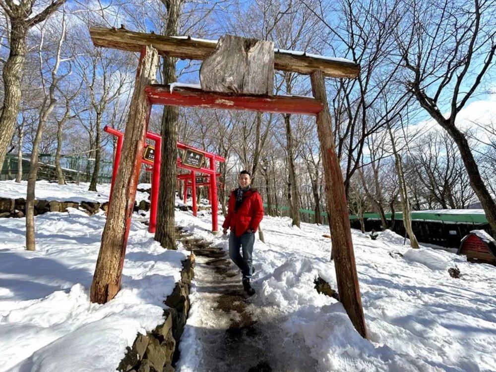 日本狐狸 日本野生動物 日本大自然 