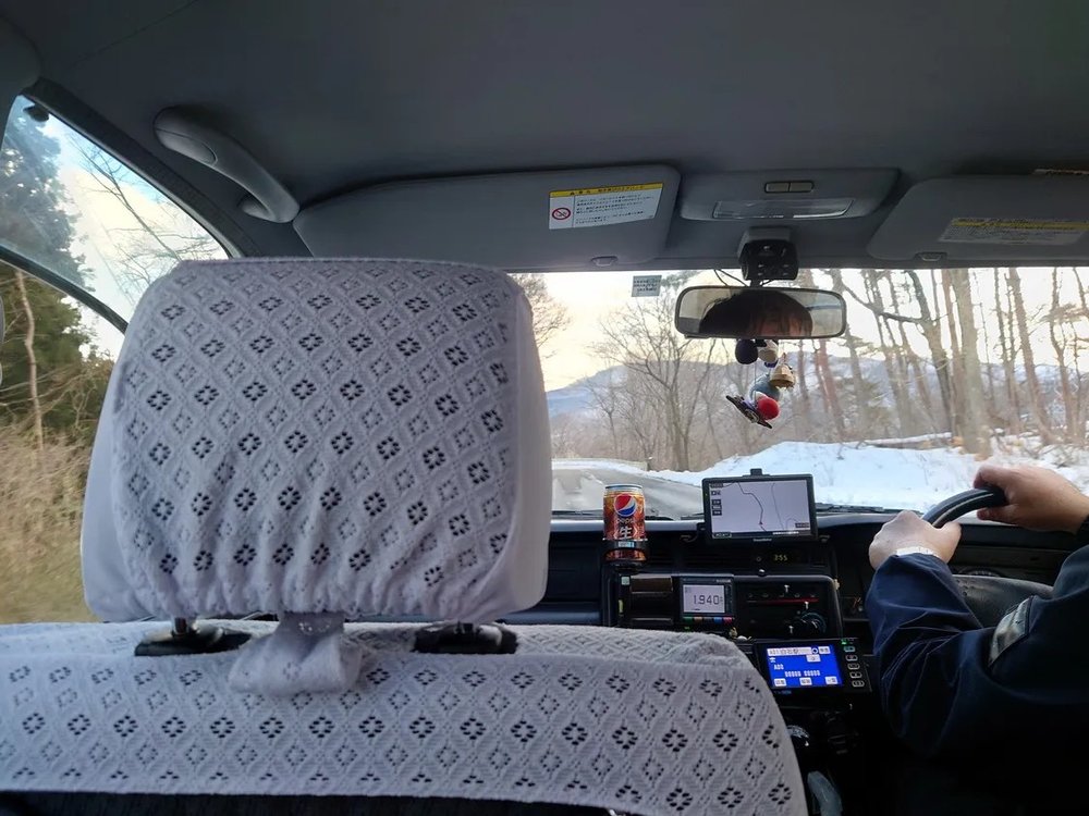 日本狐狸 狐狸 日本野生