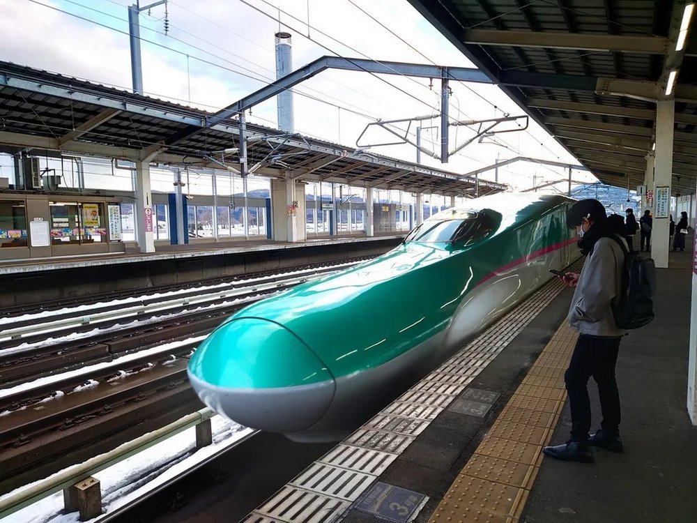 日本狐狸 狐狸 日本野生