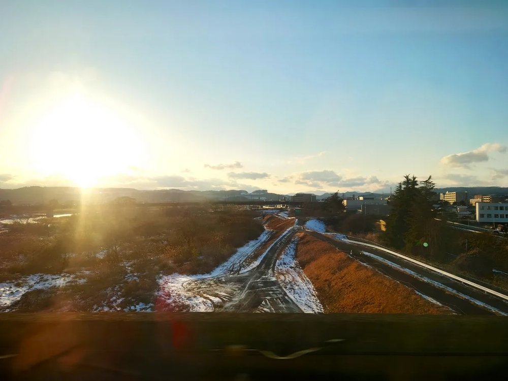 日本狐狸 狐狸 日本野生
