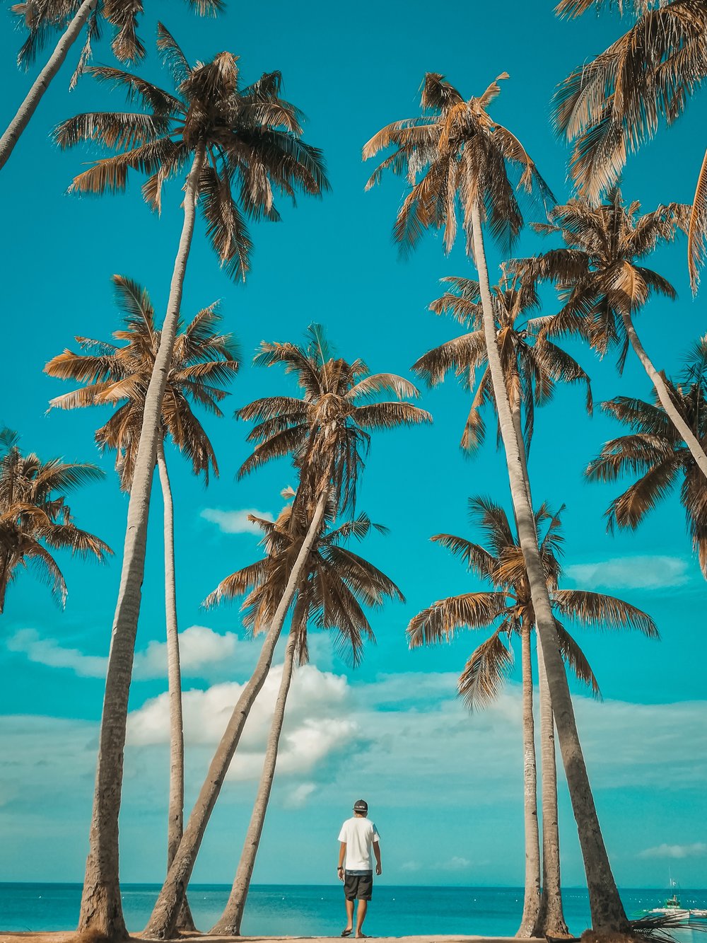 man standing among palm trees