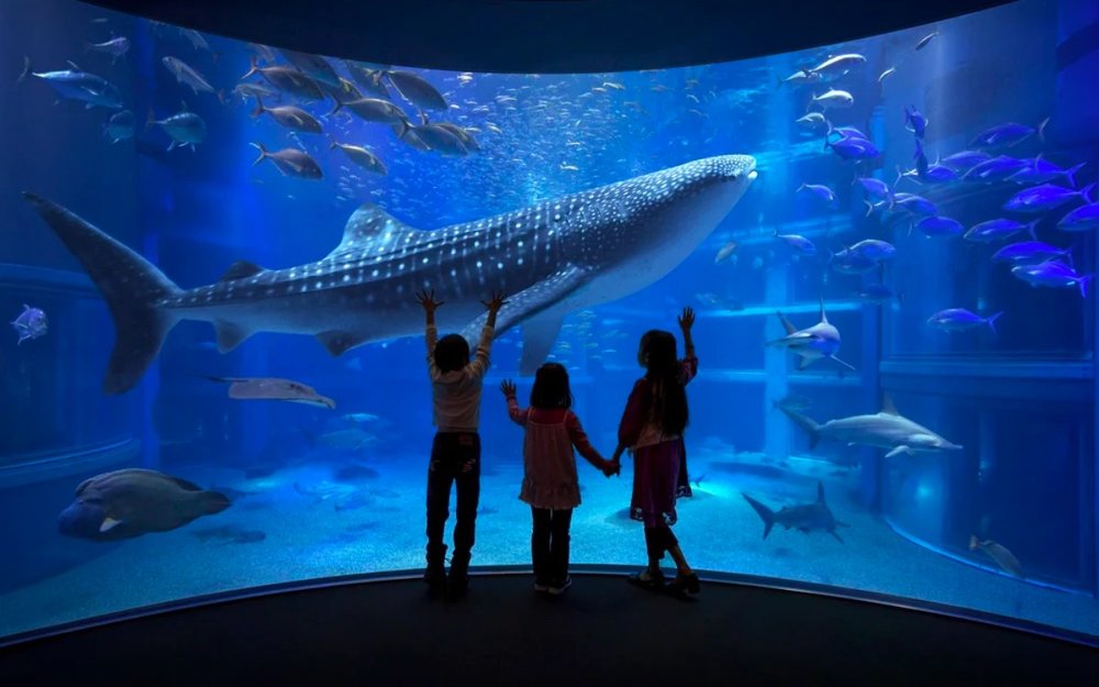 Thủy Cung Osaka Kaiyukan