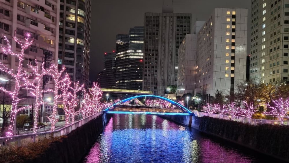 t's like spring but in winter! Credits to @koucha_gram on Instagram