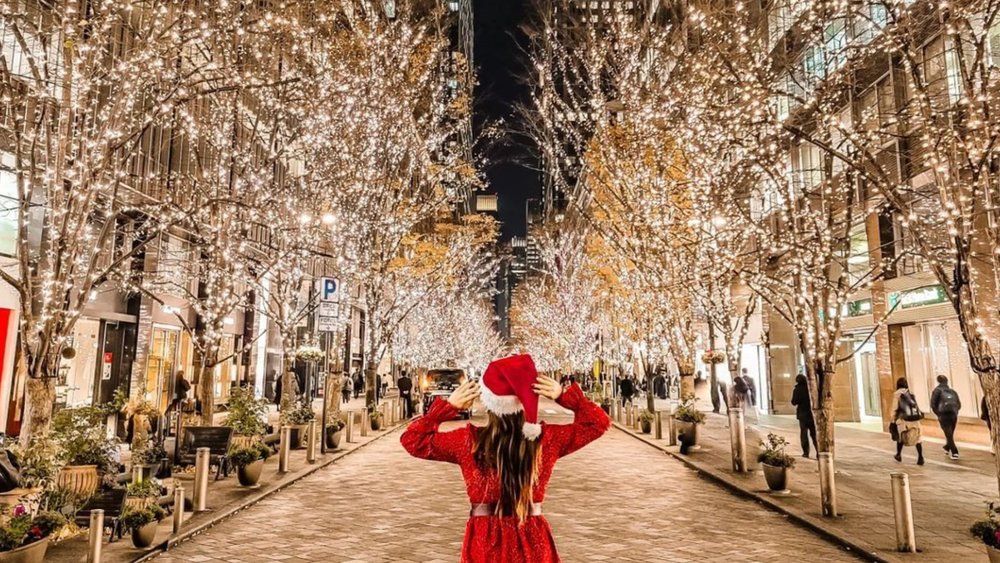 Be transported into a twinkling wonderland. Credits to @buninjapan on Instagram
