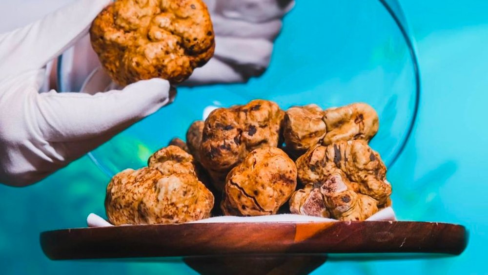 Elevate the flavour of each dish with fresh shaved truffles! Credits to @koralbali on Instagram