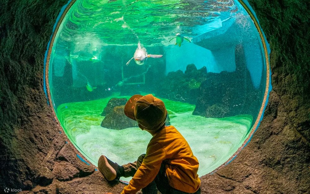 dia-diem-du-lich-sydney-uc