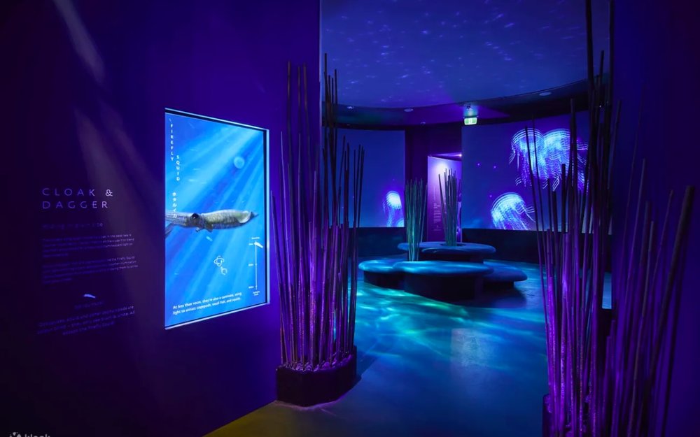 dia-diem-du-lich-melbourne-uc