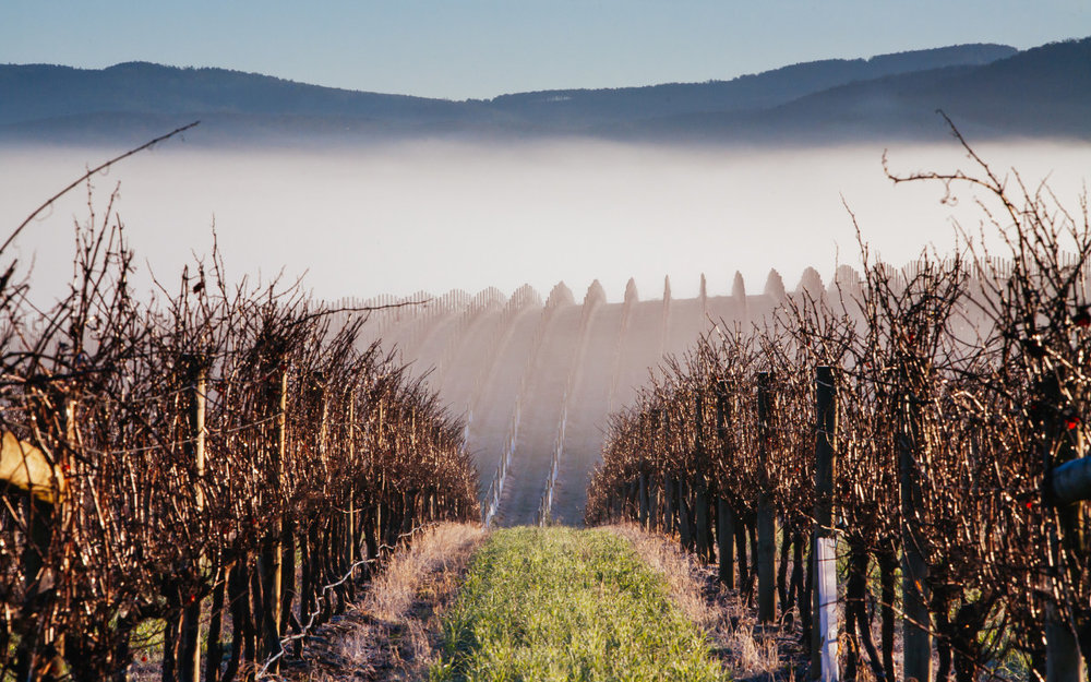 dia-diem-du-lich-melbourne-uc