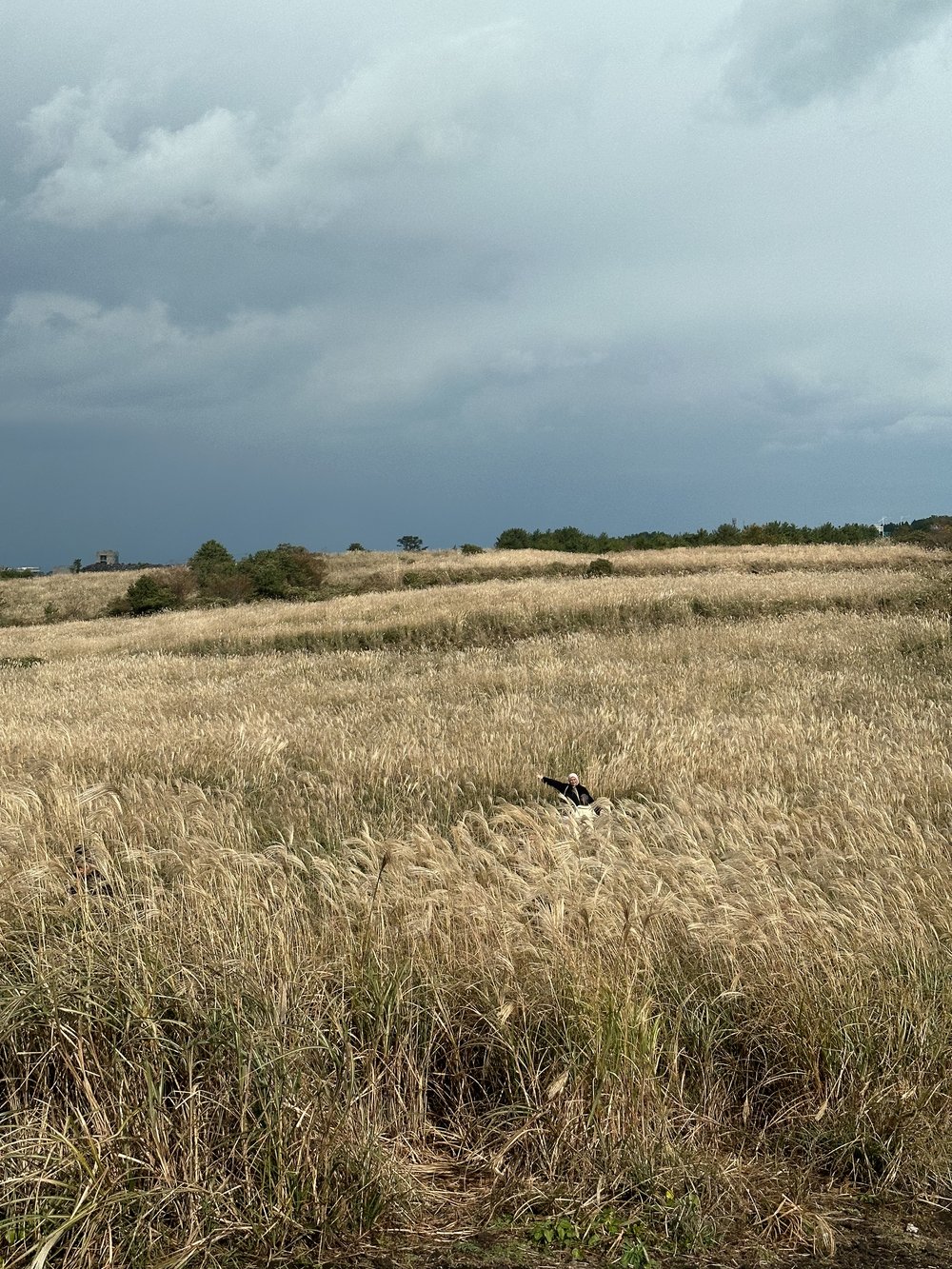 Eoeumri Village Muslim Friendly Itinerary Jeju