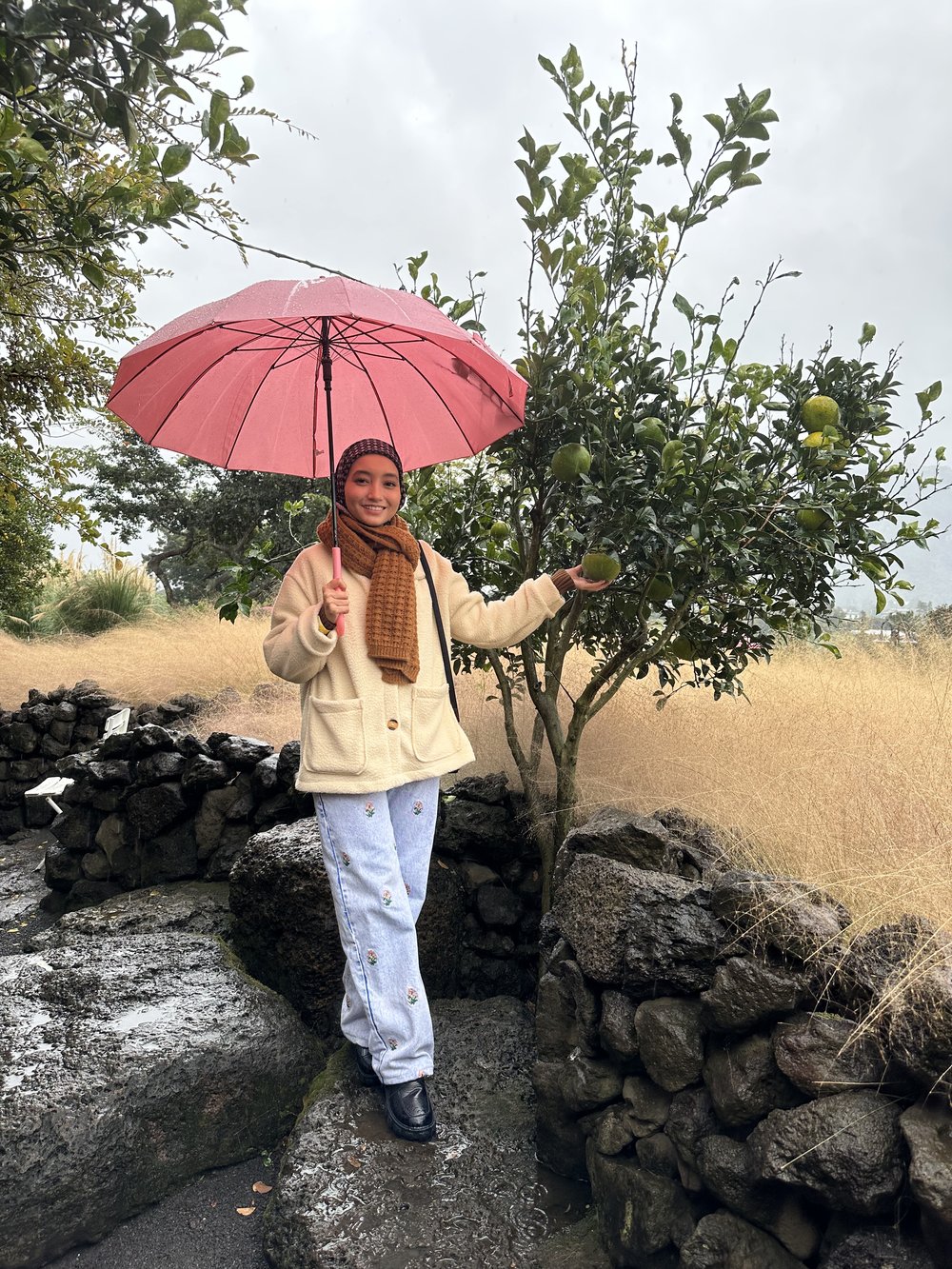 Manor Blanc Muslim Friendly Jeju Itinerary