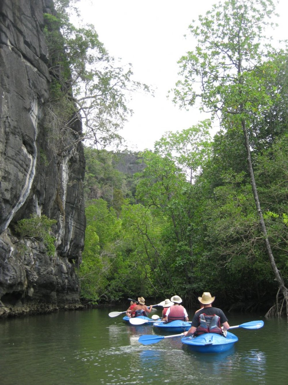 Kayak among mangroves in Langkawi Malaysia travel bucket list