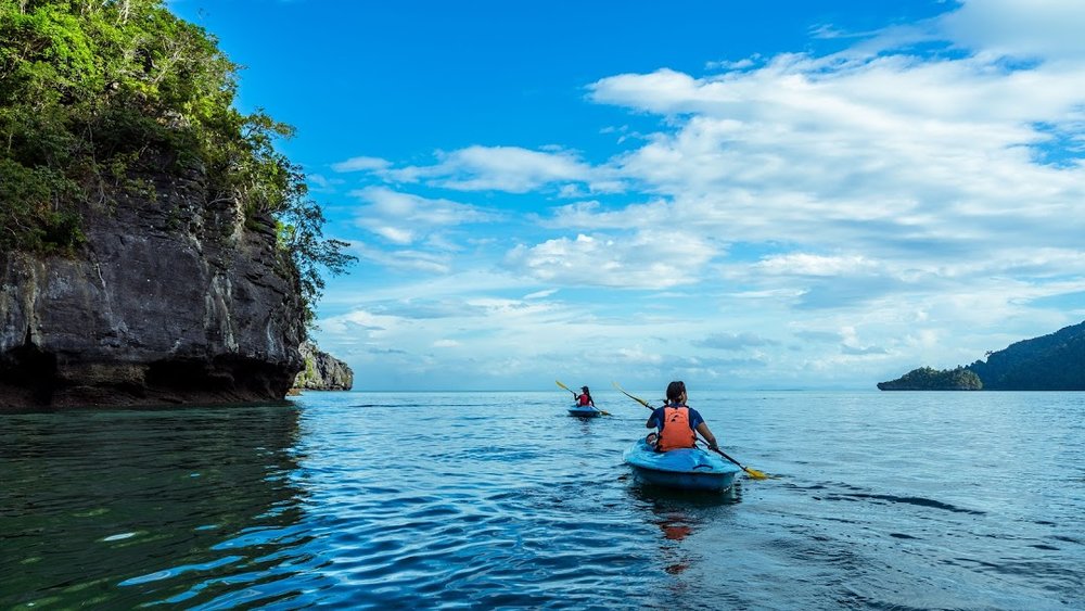 Mangrove kayaking in Langkawi best thing to do in Malaysia