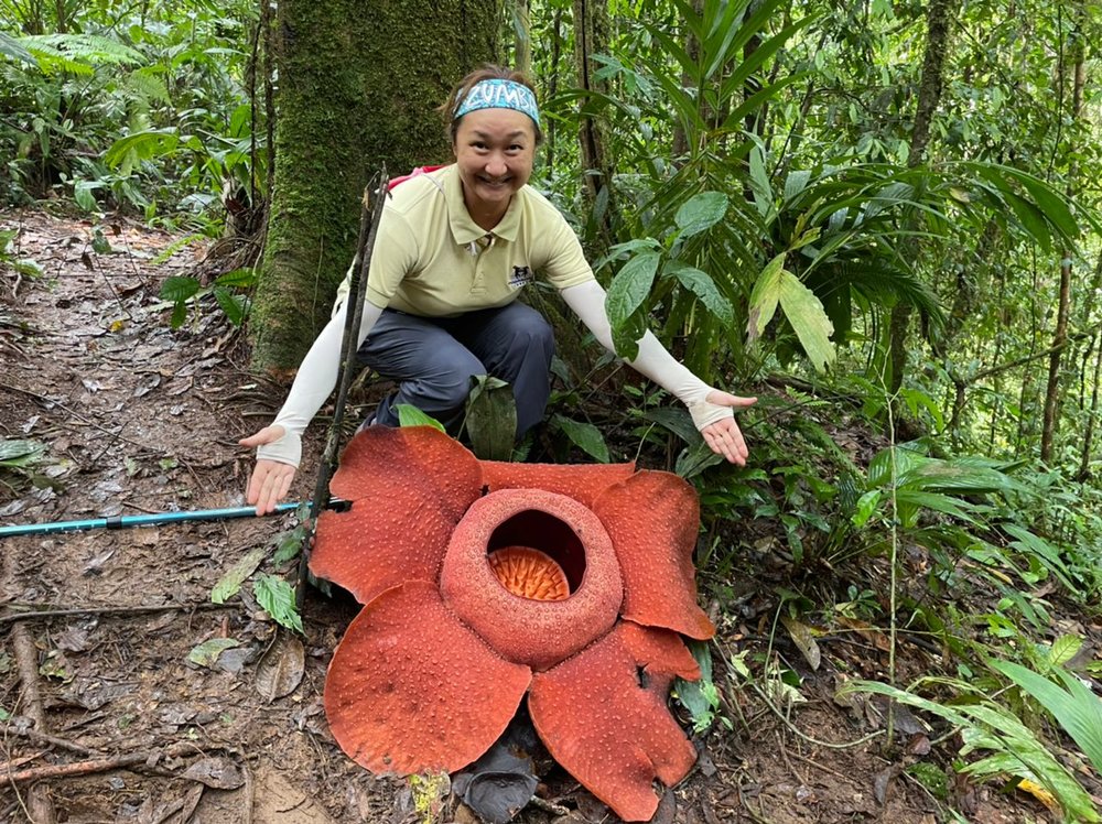 Rafflesia Trekking Experience in Malaysia must do activity in Malaysia