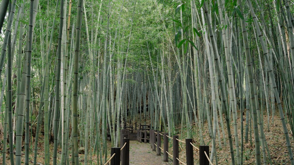 halla arboretum jeju muslim friendly