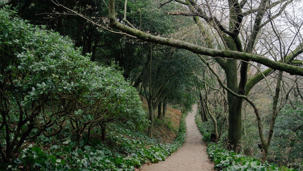 halla arboretum jeju muslim friendly