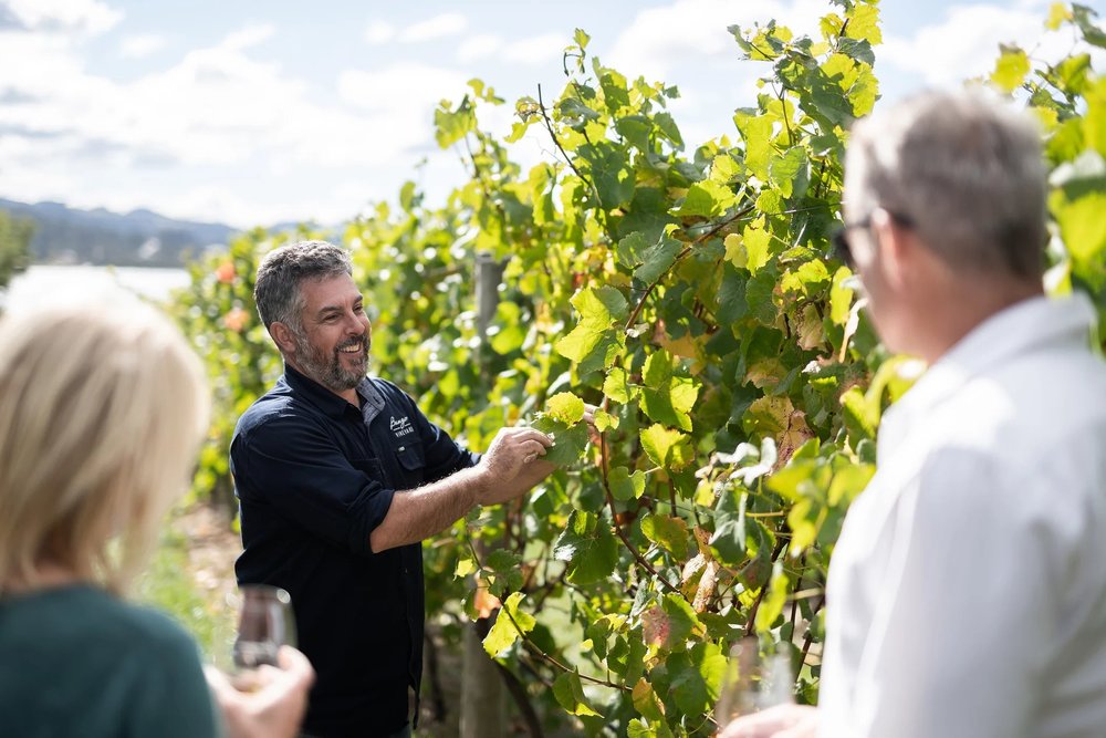 Bangor Vineyard Shed