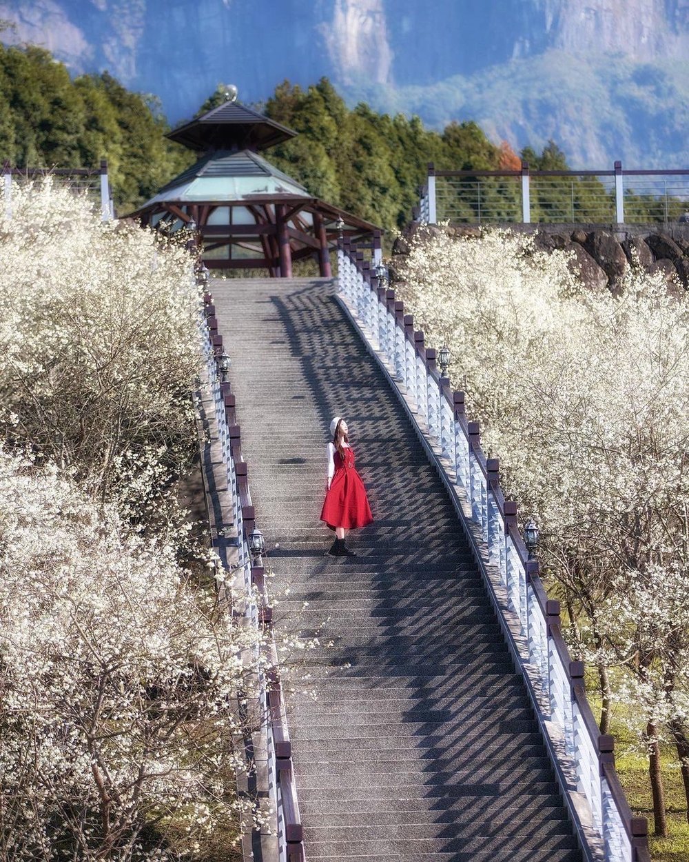 Girl in a red dress standing on a stairway leading to a pagoda with cherry blossoms
