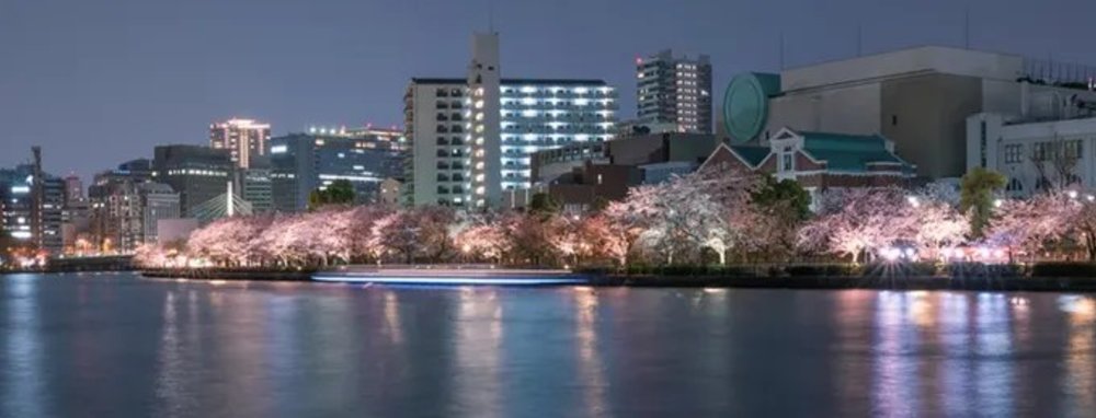 大阪賞櫻｜大川