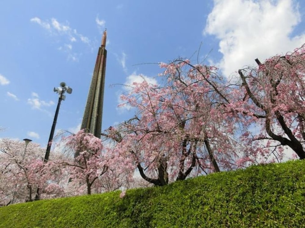 大阪賞櫻｜辯天宗・冥應寺