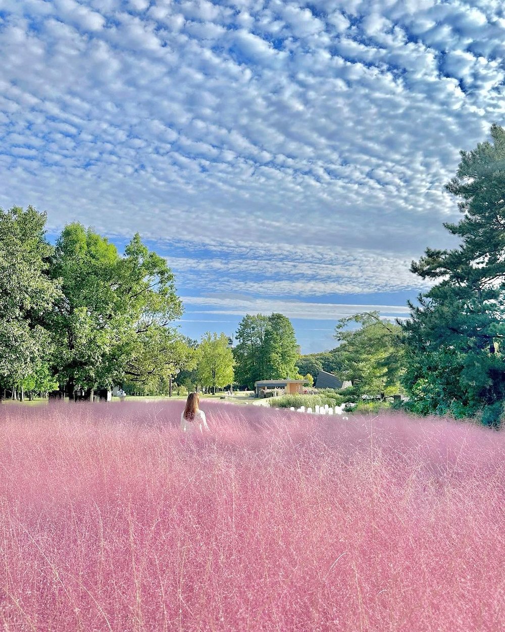 大阪長居植物園