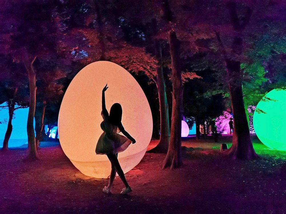 大阪長居植物園 teamLab Botanical Garden Osaka