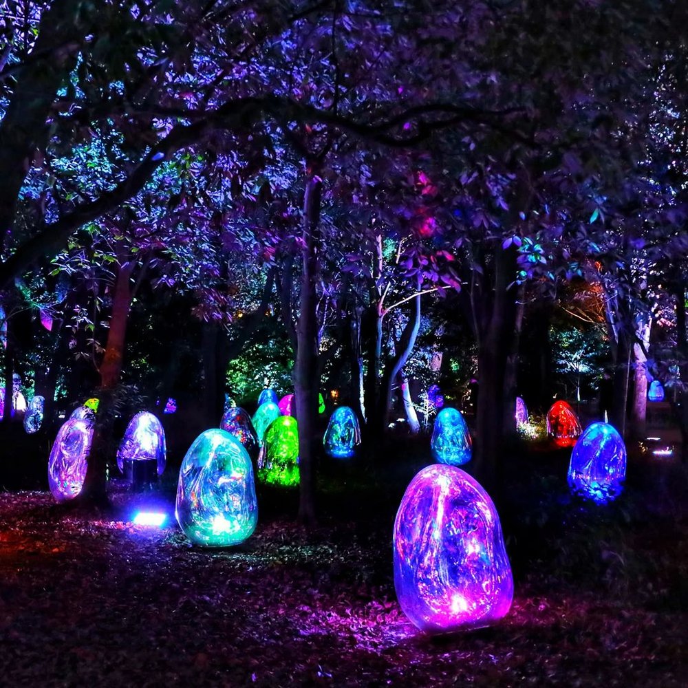 大阪長居植物園 teamLab Botanical Garden Osaka