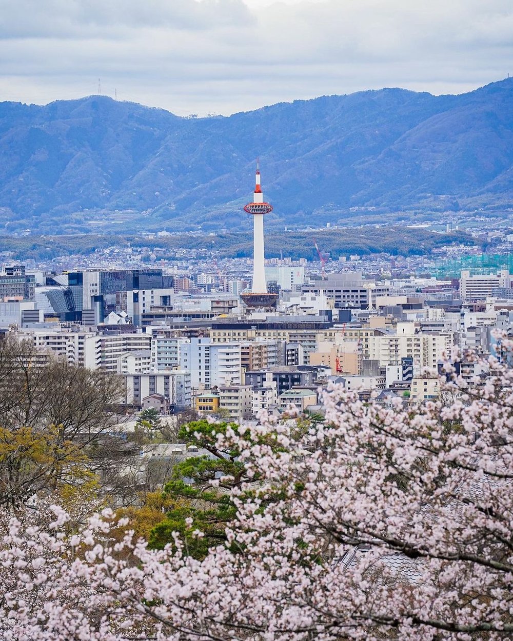京都塔