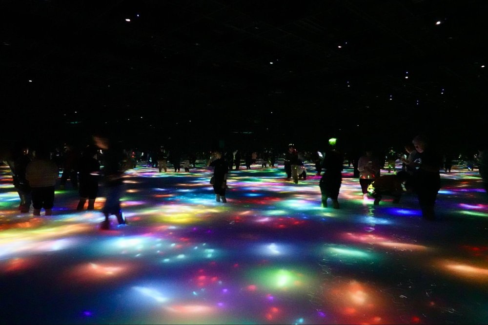 teamlab planets tokyo guide koi water surface
