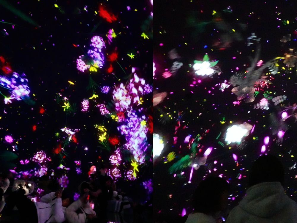 teamlab planets tokyo floating in the falling universe of flowers