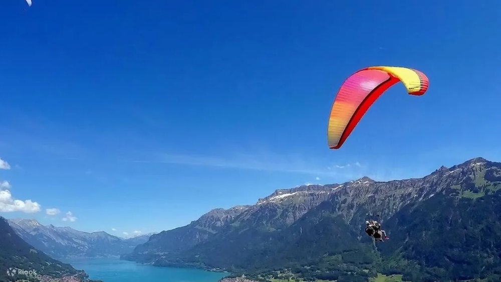 因特拉肯雙人滑翔傘體驗