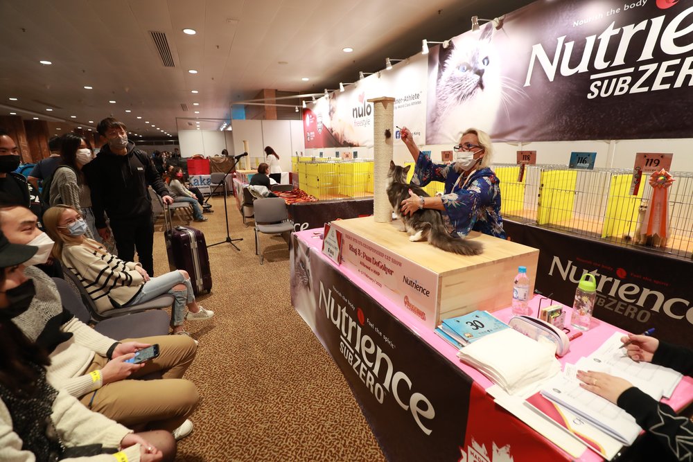 寵物展 香港寵物節 貓展