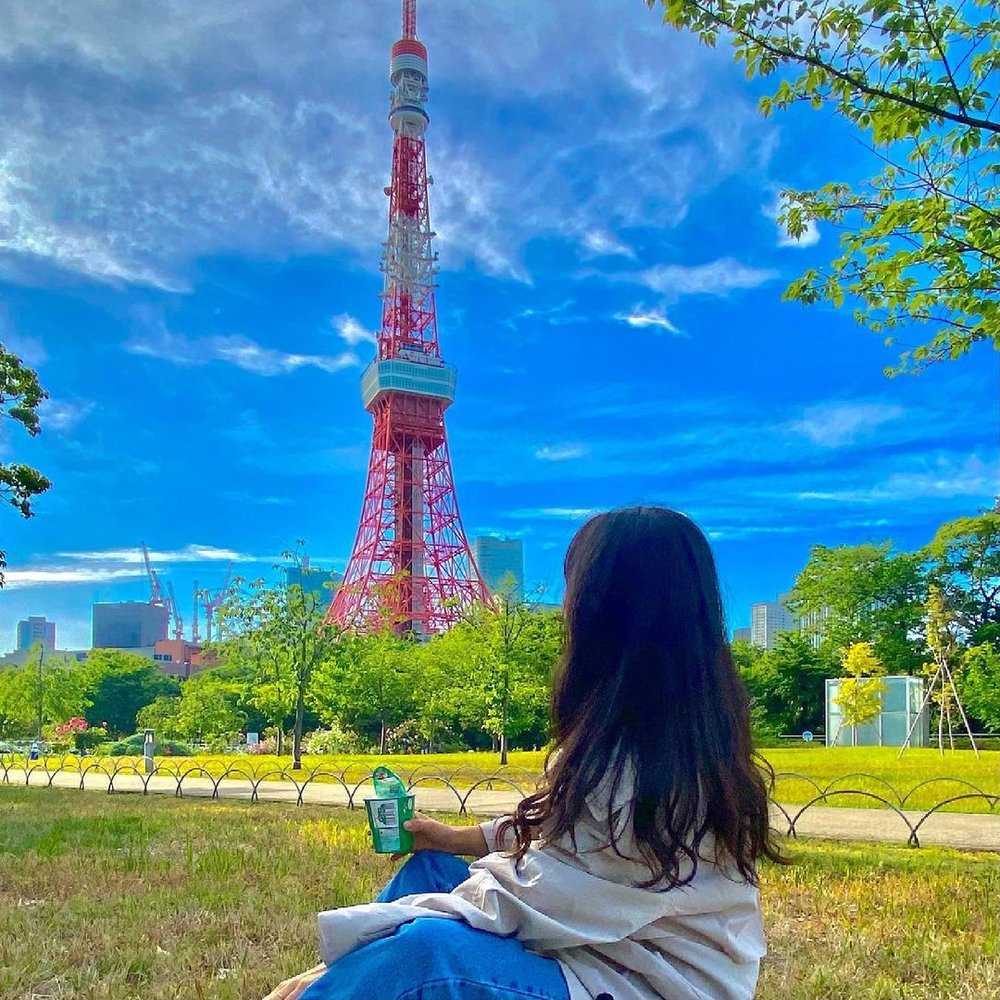 821-hakone-transport-day-pass-tokyo-2024-jan