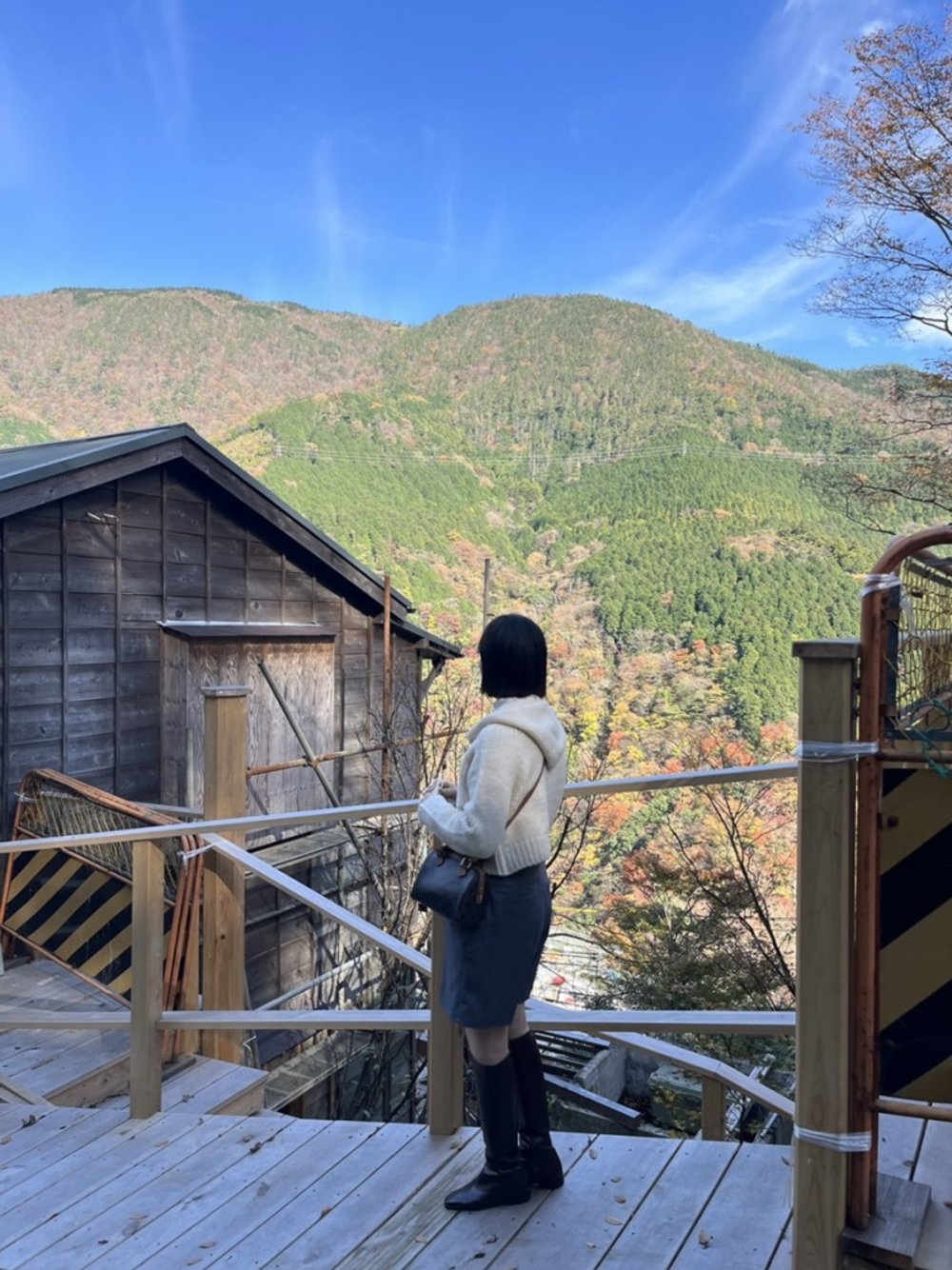 821-hakone-transport-day-pass-tokyo-2024-jan