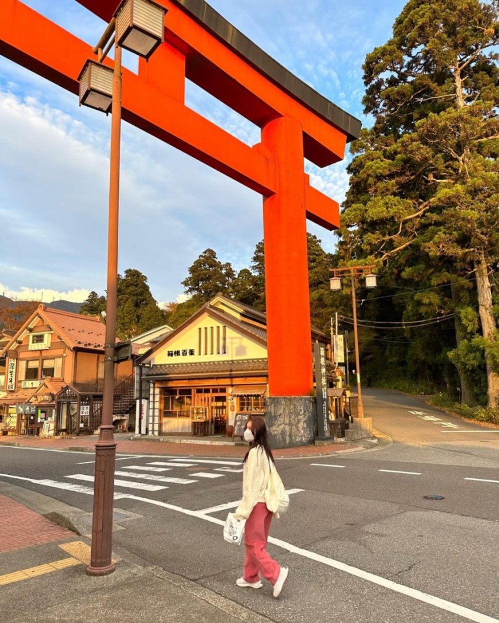 821-hakone-transport-day-pass-tokyo-2024-jan